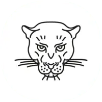 Agence La Panthère, agence web paris, création logo paris